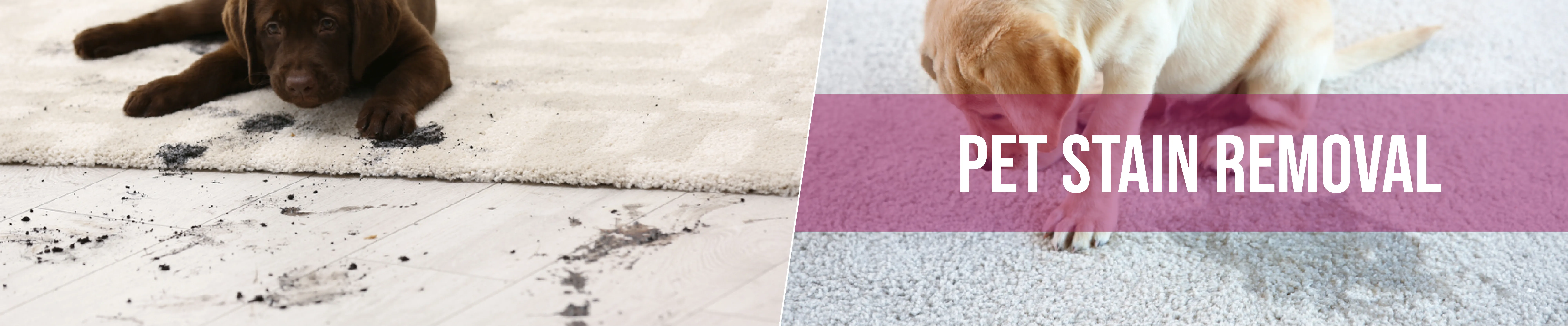 carpet cleaning in Bronx, carpet cleaner in Bronx, carpet cleaners in Bronx, carpet cleaners in Bronx, drapery cleaners in Bronx, carpet cleaning in Bronx, mattress cleaning in Bronx, mattress cleaners in Bronx, commercial carpet cleaning, commercial carpet cleaners in Bronx, Bronx rug cleaners, rug cleaning services in Bronx same day carpet cleaning, same day rug cleaning