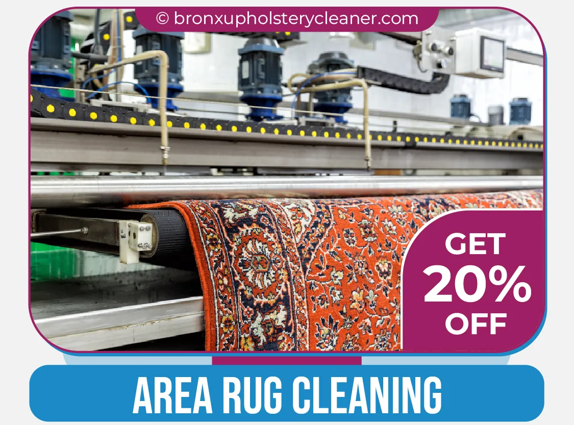 carpet cleaning in bronx, carpet cleaning in new york, carpet cleaning bronx, carpet cleaners in bronx, carpet cleaners in new york, commercial carpet cleaning, commercial carpet cleaning in bronx, bronx rug cleaners, rug cleaning services in bronx, same day carpet cleaning, same day rug cleaning