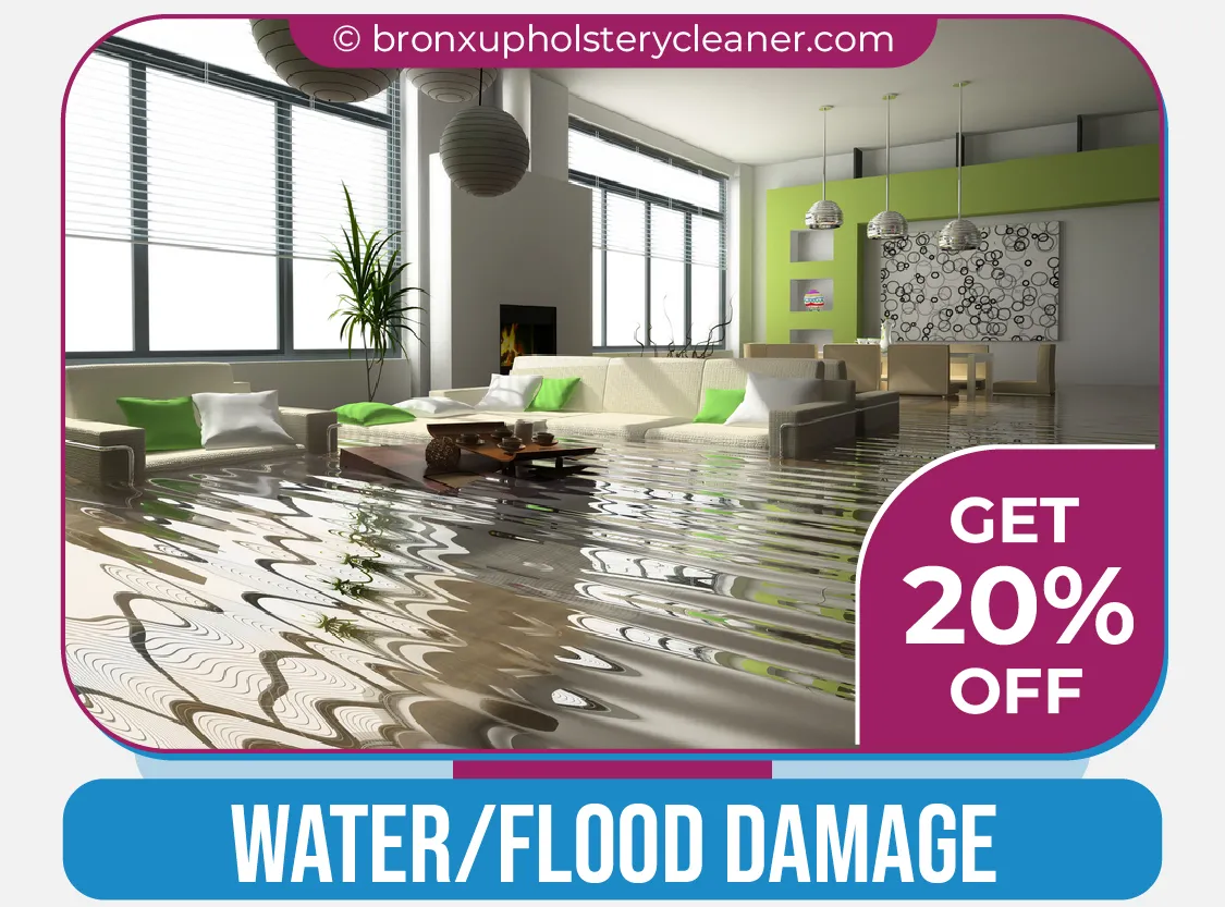 carpet cleaning in bronx, carpet cleaning in new york, carpet cleaning bronx, carpet cleaners in bronx, carpet cleaners in new york, commercial carpet cleaning, commercial carpet cleaning in bronx, bronx rug cleaners, rug cleaning services in bronx, same day carpet cleaning, same day rug cleaning